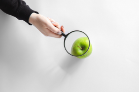HACCP: Conceitos básicos